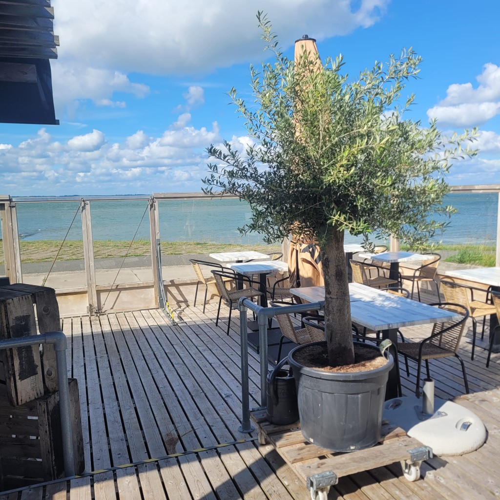 Buitenterras met uitzicht over het water